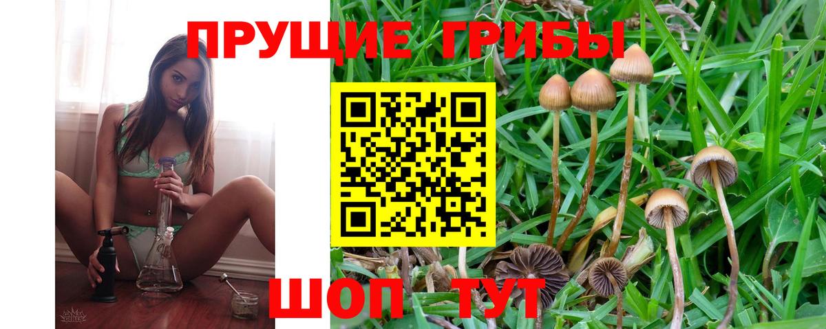 Галлюциногенные грибы мицелий  Псилоцибиновые грибы Cubensis  Шатура  Вход с VPN 